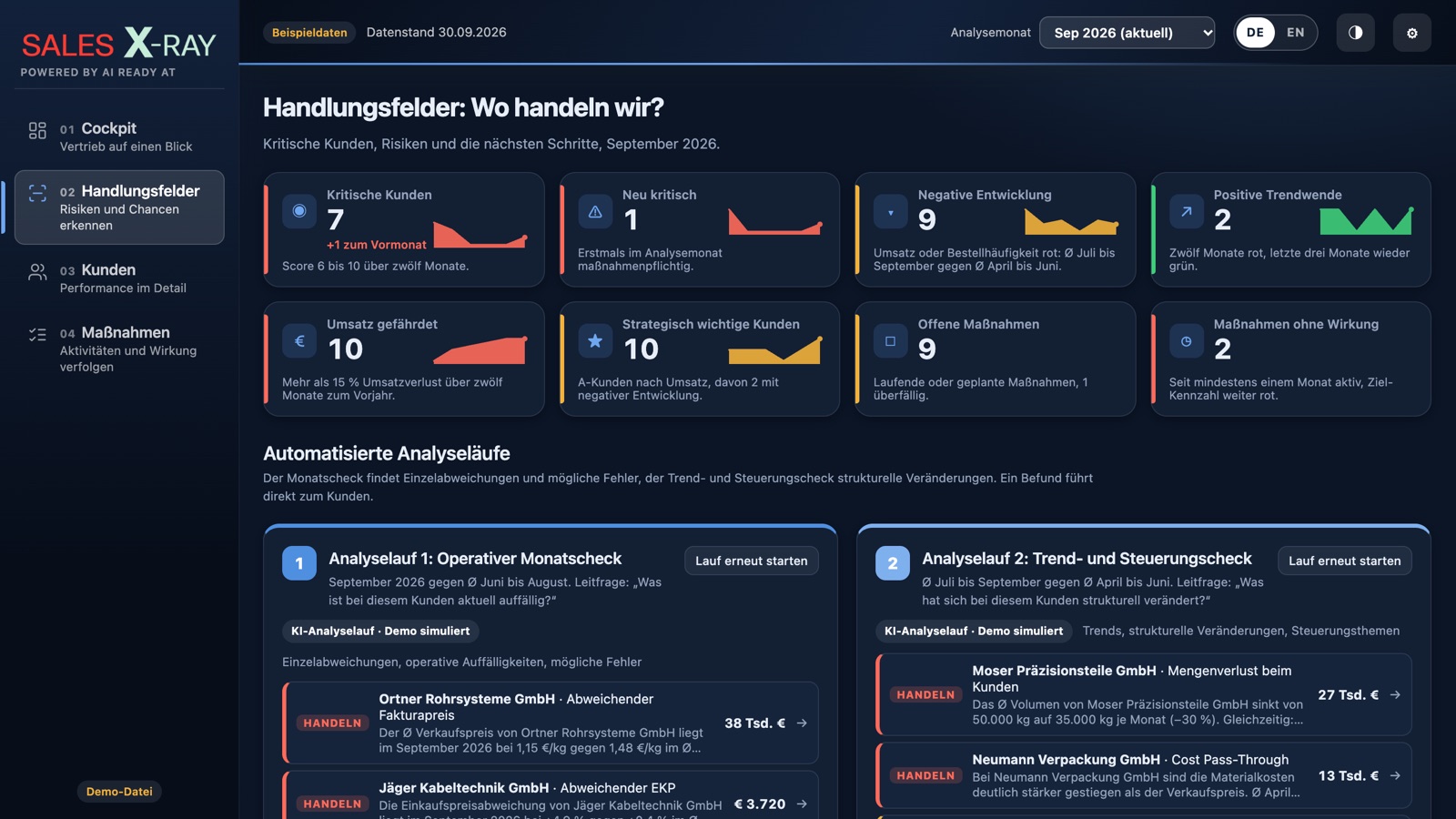 Sales X-Ray Demo mit Beispieldaten: Handlungsfelder mit kritischen Kunden und automatisierten Analyseläufen